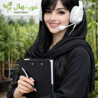 فروش نهال سیب زردالو شلیل هلو البالو گیلاس گلدانی