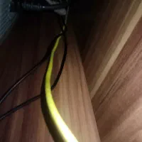 مانیتور الجی t710pu