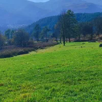 استخدام ادمین  تولید محتوا