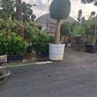 انجام کلیه خدمات فضای سبز