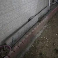 تخته کار بنایی