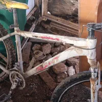 دو چرخه کوهستانی