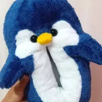 پاپوش عروسکی پاگنده|کیف، کفش، کمربند|شاندیز, |دیوار