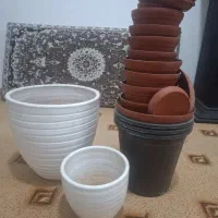 گلدان