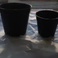 گلدان نشایی سایز ۶ و ۸