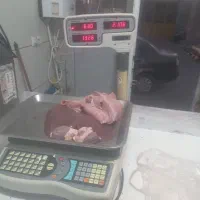 گوشت بره|خوردنی و آشامیدنی|خوسف, |دیوار