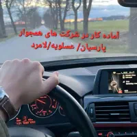 راننده همراه با خودرو