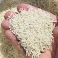 برنج طارم هاشمی