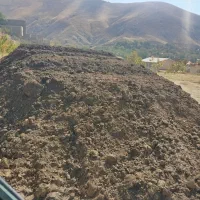 پخش  کود حیوانی  باغبانی|خدمات باغبانی و درختکاری|هشتگرد, تهران دشت|دیوار