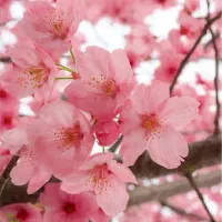 خط کد صفر بدون کارکرد