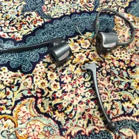 تبلت شیامی و قلوه موتور هندا