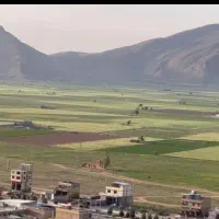زمین کارخانه،مزرعه تولید برق، دامداری و باغی
