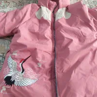 پالتوبرای ۷یاهشت سال