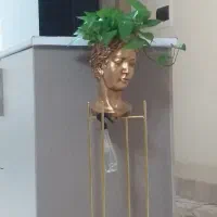 گلدان رخ پتوس با پایه