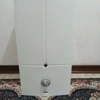 آبگرمکن دیواری بوتان  در حد