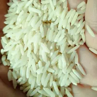 بدون واسطه خرید کنید