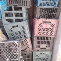 سبد