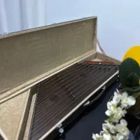 سنتور حمید موسوی