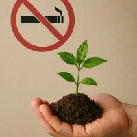 حراج پک های ترک اعتیاد گیاهی حراجی بزرگ بلک فرایدی