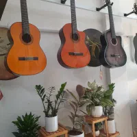 گیتار کارکرده|گیتار، بیس، امپلیفایر|مینودشت, |دیوار