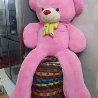 خرس نو|اسباب‌‌بازی|تبریز, |دیوار