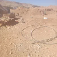 ۳ عدد سگ ماده.بایک عدد سگ نر دوتاش واگذاری هستن|سگ|چیتاب, |دیوار