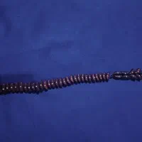 تسبیح هسته خرما|کلکسیون اشیاء عتیقه|رشت, معلولین|دیوار