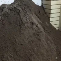 ماسه بادی