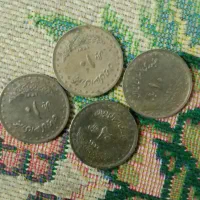 وسایل قدیمی|کلکسیون اشیاء عتیقه|میناب, |دیوار