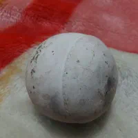 سنگ گرد|کلکسیون اشیاء عتیقه|علی‌آباد کتول, |دیوار