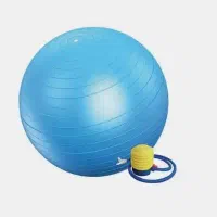 توپ فیتنس|تجهیزات ورزشی|رشت, گلسار|دیوار