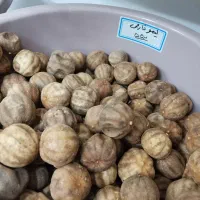 ذرت پفیلا درجه یک|خوردنی و آشامیدنی|کوهدشت, |دیوار