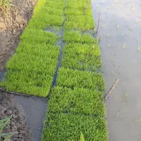 توم هاشمی اصلاح شده