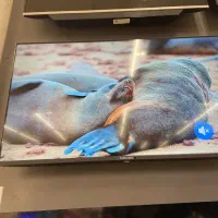 تلویزیون مکسن ۱۵ ماهه بدون پیش پرداخت