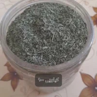 فروش نعناع باغی