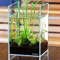 کارگاه تولیدی آکواریوم ریملس