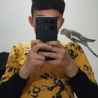 جفت عروس هلندی فول اهلی با قفس|پرنده|ارومیه, |دیوار