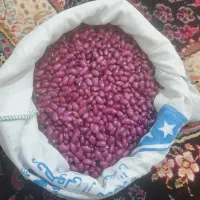 لوبیا قرمز