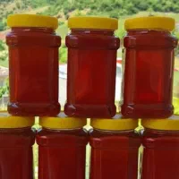 عسل کردستان