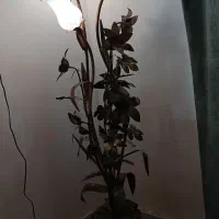 چراغ خواب در حد نو