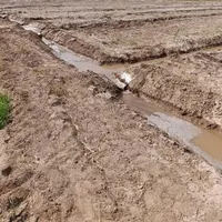 فروش ۱ هکتار باغ پسته با ۴ ساعت آب|فروش دفتر صنعتی، کشاورزی، تجاری|تربت‌حیدریه, پیشکوه|دیوار
