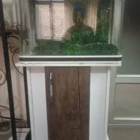 آکواریوم مای هیرا سالم