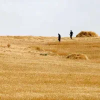 زمین-کشاورزی-روستای-برکت-آباد