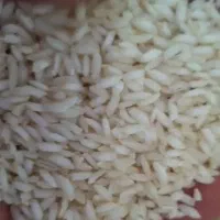 برنج عنبربو معطر خوزستان اصل