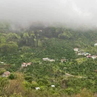 فروش-زمین-300-متری-در-بام-رامسر-اربه-کله