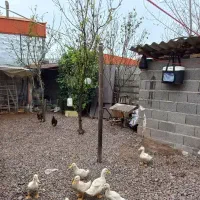 **ویلا ۲۰۰ متری/ خوش ساخت نزدیک جانبازان*|فروش خانه و ویلا|رشت, جانبازان|دیوار