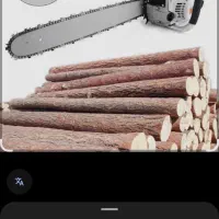 حرص درخت و قطع