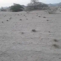 آبشورک ، زمین سند دار ۲۰۰متری ، معاوضه با خودرو|فروش زمین و ملک کلنگی|بندرعباس, |دیوار