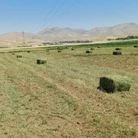 بسته یونجه تمیز چین ۳ خوب بدون گیاه