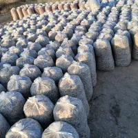 فروش عمده تفاله وخوراک دام